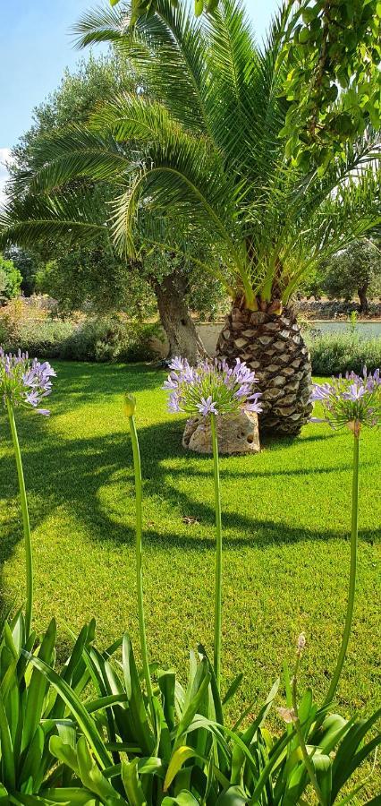 Masseria Cesarina B&B กัสเตลลานา กรอตเต ภายนอก รูปภาพ