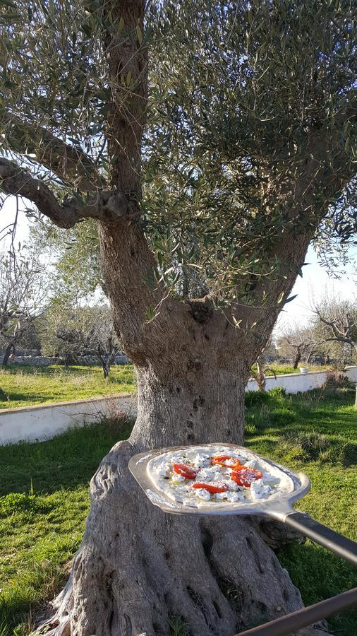 Masseria Cesarina B&B กัสเตลลานา กรอตเต ภายนอก รูปภาพ