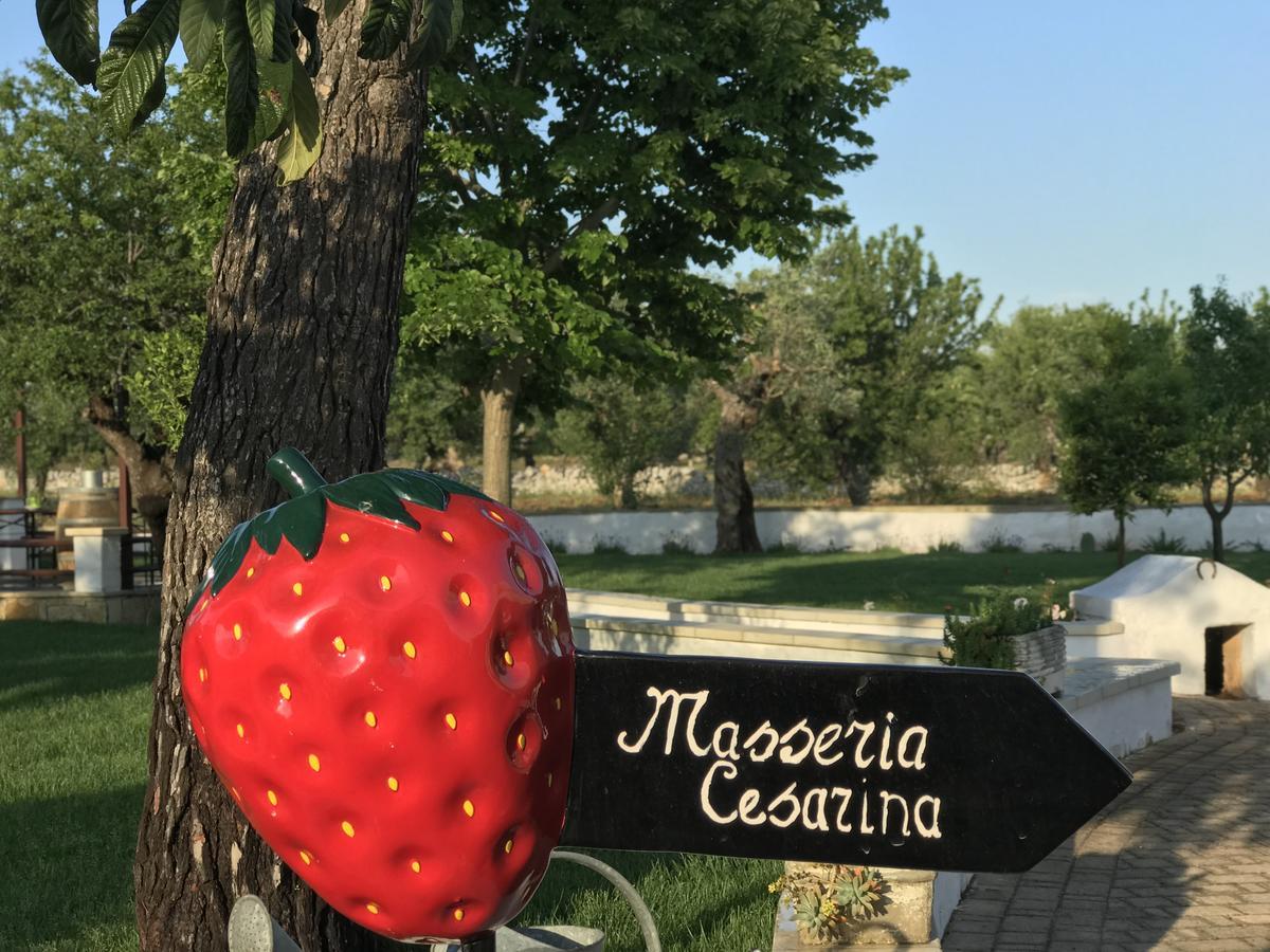 Masseria Cesarina B&B กัสเตลลานา กรอตเต ภายนอก รูปภาพ